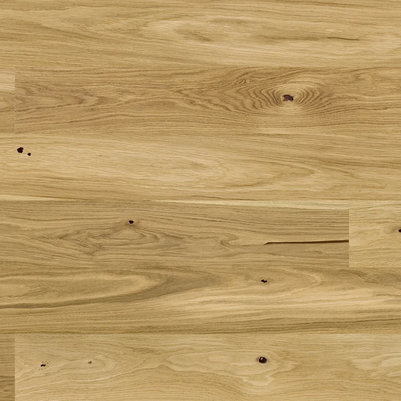 STEJAR ASKANIA GRANDE photo2